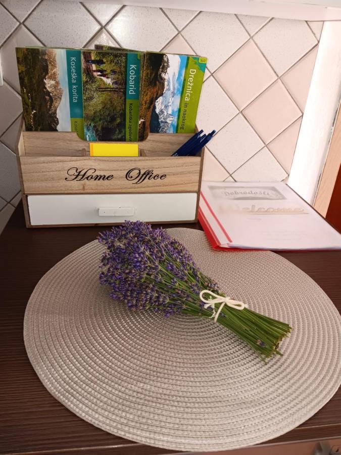 Apartma Metija Kobarid Esterno foto