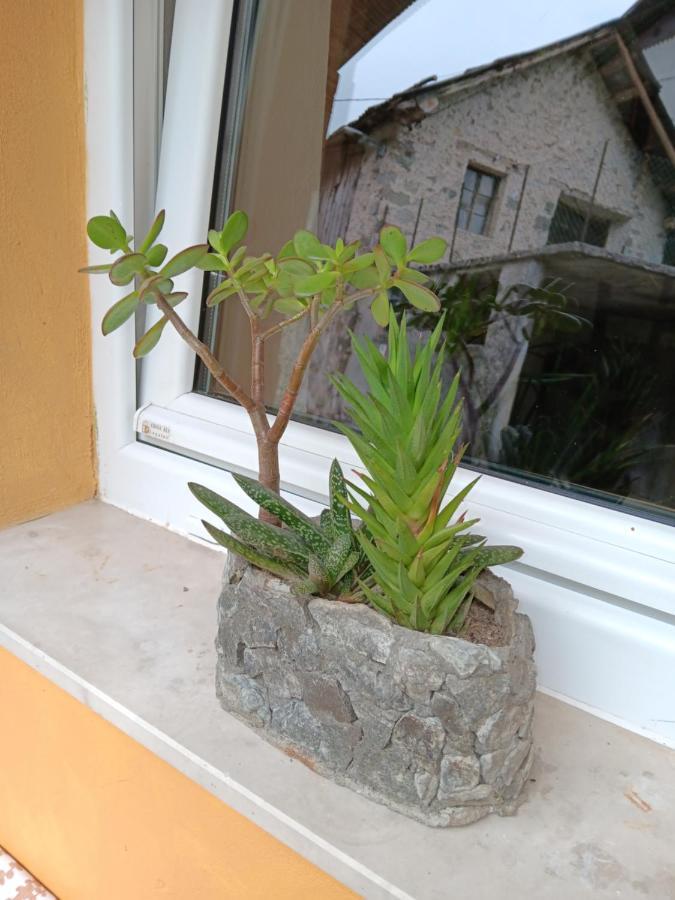 Apartma Metija Kobarid Esterno foto